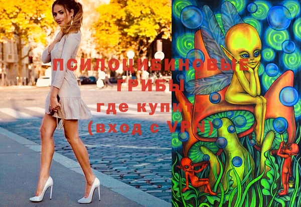 spice Баксан