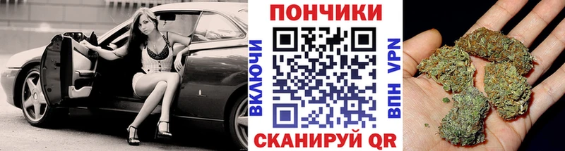 Шишки марихуана марихуана  где продают наркотики  Городище 